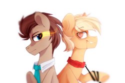 Size: 2449x1632 | Tagged: safe, artist:mirtash, doctor whooves, time turner, earth pony, pony, rcf community, g4, collar, doctor who, doctorpace, duo, gay, male, necktie, ponified, shipping, simple background, stallion, the master, white background