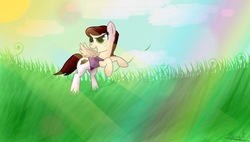 Size: 1022x582 | Tagged: safe, artist:m4rg0t_, oc, oc only, oc:graph travel, pegasus, pony, clothes, cloud, confident, exploring, female, field, freckles, grass, happy, mare, outdoors, plant, rainbow, rearing, small pony, solo, spread wings, sun, vest, wings