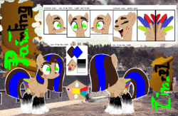 Size: 1054x686 | Tagged: safe, artist:latiapainting, oc, oc only, oc:painting cincel, pegasus, pony, danger, female, glue, glue factory, ink, original character do not steal, radioactive, reference sheet, solo, thick eyebrows, tricolor wings