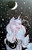 Size: 1584x2490 | Tagged: safe, artist:azkre, princess luna, pony, g4, female, moon, princess luna is amused, solo, stars, traditional art