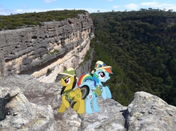 Size: 1000x747 | Tagged: safe, artist:didgereethebrony, daring do, rainbow dash, g4, australia, blue mountains, cliff, kanangra boyd national park, mlp in australia, plateau