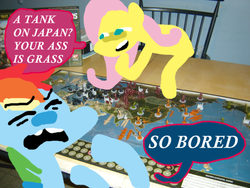Size: 540x405 | Tagged: safe, artist:devi, fluttershy, rainbow dash, g4, axis & allies, board game, irl, photo, ponies in real life