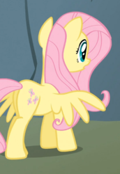 Size: 2591x3770 | Tagged: safe, screencap, fluttershy, pegasus, pony, feeling pinkie keen, g4, butt, cropped, female, flutterbutt, high res, mare, plot, sexy, solo