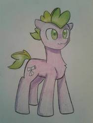 Size: 1200x1600 | Tagged: safe, artist:ponime11, spike, pony, g4, male, ponified, ponified spike, solo, traditional art