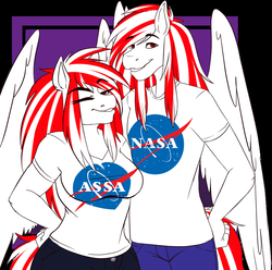 Size: 985x978 | Tagged: safe, artist:rokkocoms, oc, oc only, oc:toka yakkai, oc:toko yakkai, pegasus, anthro, clothes, female, male, nasa, rule 63