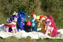 Size: 3872x2592 | Tagged: safe, pinkie pie, princess luna, rainbow dash, sunset shimmer, twilight sparkle, alicorn, pony, g4, clothes, coca-cola, coronation dress, dress, high res, irl, photo, picnic, plushie, polish, twilight sparkle (alicorn)