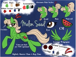 Size: 1855x1385 | Tagged: safe, artist:melonseed11, oc, oc only, oc:melon seed, pegasus, pony, female, mare, reference sheet, solo