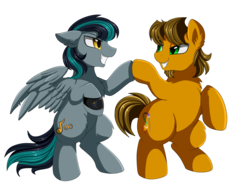 Size: 3509x2550 | Tagged: safe, artist:pridark, oc, oc only, oc:alex the chubby pony, oc:blackgryph0n, earth pony, pegasus, pony, high res, hoofbump, looking at each other, male, simple background, stallion, transparent background