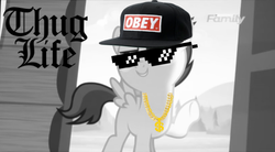 Size: 800x443 | Tagged: safe, artist:jawsandgumballfan24, rumble, pony, g4, marks and recreation, baseball cap, black and white, blackletter, cap, colt, gold chains, grayscale, hat, male, monochrome, obey hat, sunglasses, thug life