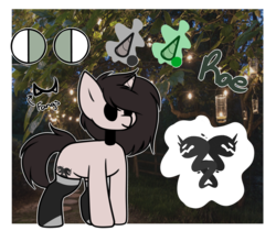 Size: 4603x3867 | Tagged: safe, artist:umiimou, oc, oc only, oc:abby rae, pony, unicorn, absurd resolution, clothes, female, mare, reference sheet, socks, solo