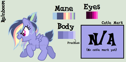 Size: 1342x659 | Tagged: safe, artist:ipandacakes, oc, oc only, oc:rainboom, pegasus, pony, female, filly, offspring, parent:rainbow dash, parent:soarin', parents:soarindash, reference sheet, solo