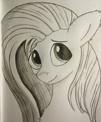 Size: 1824x2199 | Tagged: safe, artist:emeraldshield, fluttershy, pegasus, pony, g4, bust, female, looking at you, looking sideways, monochrome, portrait, smiling, solo, traditional art