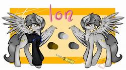 Size: 960x533 | Tagged: safe, artist:frowzie, oc, oc only, oc:ion sparkplug, pegasus, pony, clothes, cutie mark, grin, hoodie, reference sheet, screwdriver, seductive eyes, smiling