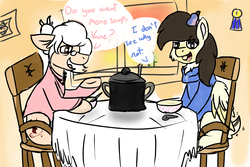 Size: 1500x1000 | Tagged: safe, artist:euspuche, oc, oc only, oc:eustakia, oc:vanellope, bat pony, earth pony, pony, dressing, food, house, looking at each other, old woman, sitting, soup, table