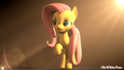 Size: 2560x1440 | Tagged: safe, artist:thewhitepone, fluttershy, g4, 3d, cute, female, shyabetes, solo, source filmmaker