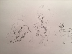 Size: 1280x960 | Tagged: safe, artist:greyscaleart, pony, bipedal, butt, dancing, faic, plot, sketch, traditional art