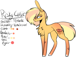 Size: 3132x2370 | Tagged: safe, artist:sweetmelon556, oc, oc only, oc:risky cutie, earth pony, pony, bandaid, bandaid on nose, blood, female, high res, mare, reference sheet, simple background, solo, transparent background