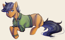 Size: 1653x1022 | Tagged: safe, artist:1an1, quibble pants, earth pony, pony, g4, clothes, male, shirt, simple background, solo, stallion