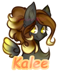 Size: 1500x1500 | Tagged: safe, artist:danbaishi, oc, oc only, oc:kalee, pegasus, pony, bust, female, floating wings, mare, portrait, simple background, solo, transparent background