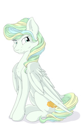 Size: 3265x4928 | Tagged: safe, artist:melodis, vapor trail, pegasus, pony, g4, female, simple background, sitting, solo, white background