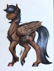 Size: 1024x1365 | Tagged: safe, artist:drago-draw, oc, oc only, oc:artsong, pegasus, pony, solo, traditional art, watermark