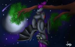 Size: 1280x800 | Tagged: safe, artist:lordofthefeathers, oc, oc only, oc:scarlet, bat pony, bat pony oc, comet, full moon, hanging, hanging upside down, moon, night, solo