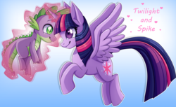 Size: 1953x1199 | Tagged: safe, artist:anthocat, spike, twilight sparkle, alicorn, dragon, pony, g4, female, flying, glowing horn, horn, levitation, looking at each other, magic, magic aura, male, smiling, spikelove, spread wings, telekinesis, twilight sparkle (alicorn), wings