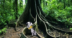 Size: 1277x687 | Tagged: safe, artist:didgereethebrony, zecora, g4, daintree rainforest, female, lost, rainforest, solo