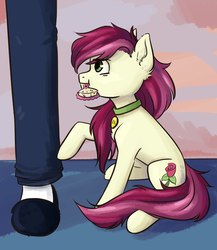 Size: 1878x2160 | Tagged: safe, artist:haru_s, roseluck, earth pony, human, pony, g4, brush, chest fluff, collar, commissioner:doom9454, cyrillic, digital art, ear fluff, female, fluffy, hairbrush, mare, mouth hold, pet tag, pony pet, rosepet, russian, sitting