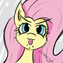 Size: 4000x4000 | Tagged: safe, artist:maneingreen, fluttershy, pony, g4, :p, cheek fluff, onomatopoeia, raspberry, raspberry noise, silly, solo, tongue out