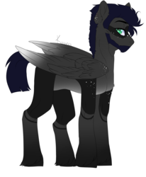 Size: 1361x1650 | Tagged: safe, artist:skimea, oc, oc only, pegasus, pony, beard, facial hair, male, simple background, solo, stallion, transparent background