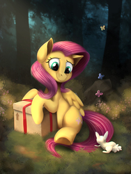 Size: 3216x4288 | Tagged: safe, artist:blackligerth, fluttershy, butterfly, pegasus, pony, rabbit, g4, box, cute, duo, female, folded wings, forest, grass, leaning, looking at something, looking back, looking down, mare, nature, present, shyabetes, sitting, smiling, solo, tree, turned head, underhoof