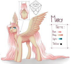 Size: 2300x2000 | Tagged: safe, artist:maria-fly, oc, oc only, oc:mary, pegasus, pony, high res, reference sheet, tattoo