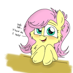 Size: 2000x2000 | Tagged: safe, artist:kdbrony, fluttershy, pony, g4, blushing, cute, fluffy, high res, looking at you, shyabetes, solo, talking to viewer