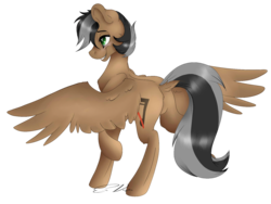 Size: 1600x1200 | Tagged: safe, artist:scarlettnovel, oc, oc only, oc:artsong, pegasus, pony, dock, female, mare, simple background, solo, transparent background