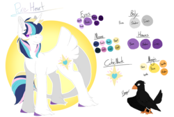 Size: 1024x690 | Tagged: safe, artist:nobleclay, oc, oc only, oc:pure heart, bird, classical unicorn, pony, raven (bird), unicorn, cloven hooves, horn, leonine tail, offspring, parent:princess cadance, parent:shining armor, parents:shiningcadance, reference sheet, simple background, tail feathers, transparent background, unshorn fetlocks