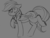 Size: 1280x969 | Tagged: safe, artist:yoditax, rainbow dash, pegasus, pony, g4, female, grayscale, mare, monochrome, sketch, solo