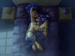 Size: 3070x2302 | Tagged: safe, artist:nightpaint12, flash sentry, twilight sparkle, alicorn, pony, g4, bed, book, cuddling, female, high res, hug, male, night, ship:flashlight, shipping, sleeping, snuggling, story in the source, straight, twilight sparkle (alicorn), winghug