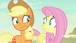 Size: 1920x1080 | Tagged: safe, screencap, applejack, fluttershy, pony, g4, sounds of silence