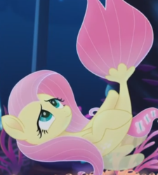 Size: 490x544 | Tagged: safe, screencap, fluttershy, pegasus, pony, seapony (g4), g4, my little pony: the movie, animated, bubble, clothes, coral, cropped, dorsal fin, eyelashes, female, fin, fin wings, fins, fish tail, floating, flowing mane, flowing tail, green eyes, lidded eyes, mare, ocean, open mouth, open smile, pink mane, pink tail, scales, seaponified, seapony fluttershy, seaquestria, seaweed, see-through, smiling, solo, species swap, swimming, tail, underwater, water, wings