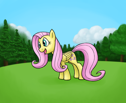 Size: 6400x5200 | Tagged: safe, artist:bill-the-pony, fluttershy, pony, g4, absurd resolution, female, solo