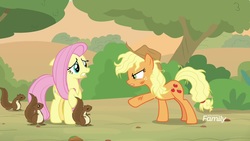 Size: 1920x1080 | Tagged: safe, screencap, applejack, fluttershy, pony, squirrel, g4, sounds of silence, angry