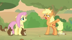 Size: 1920x1080 | Tagged: safe, screencap, applejack, fluttershy, pony, squirrel, g4, sounds of silence, angry