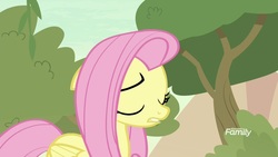 Size: 1920x1080 | Tagged: safe, screencap, fluttershy, pegasus, pony, g4, sounds of silence, eyes closed, female, mare, solo