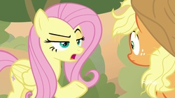 Size: 1920x1080 | Tagged: safe, screencap, applejack, fluttershy, pegasus, pony, g4, sounds of silence, duo, female, fluttershy is not amused, mare, raised eyebrow, raised hoof, unamused