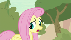 Size: 1280x720 | Tagged: safe, screencap, fluttershy, pegasus, pony, g4, sounds of silence, female, mare, open mouth, solo