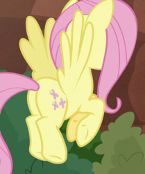 Size: 601x718 | Tagged: safe, screencap, fluttershy, pegasus, pony, g4, sounds of silence, butt, cropped, female, flying, mare, plot, solo