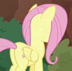 Size: 578x563 | Tagged: safe, screencap, fluttershy, pegasus, pony, g4, sounds of silence, butt, cropped, female, mare, plot, solo