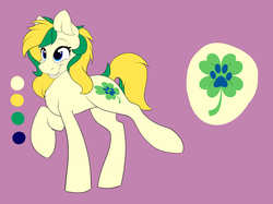 Size: 5341x4000 | Tagged: safe, artist:emilywulfstudios, oc, oc only, oc:lucky paw, earth pony, pony, absurd resolution, female, mare, reference sheet, solo