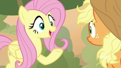 Size: 1920x1080 | Tagged: safe, screencap, applejack, fluttershy, pegasus, pony, g4, sounds of silence, discovery family logo, duo, female, looking at each other, mare, raised hoof